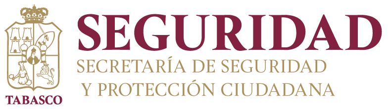 Seguridad Tabasco